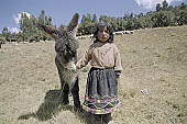 Agriculture in Peruvian puna